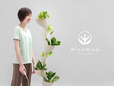 Miaomiao_1