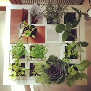Giardino del 15_2