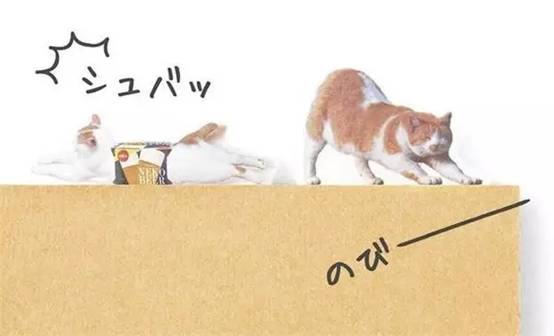 WDCMϴͼƬ