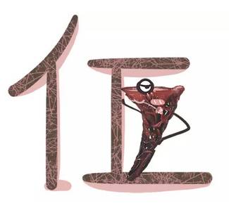 WDCMϴͼƬ