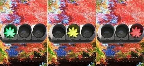 WDCMϴͼƬ