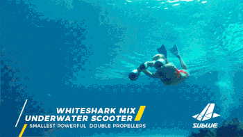 WDCMϴͼƬ