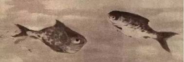 WDCMϴͼƬ