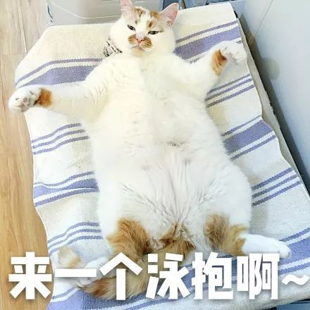 WDCMϴͼƬ