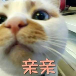 WDCMϴͼƬ