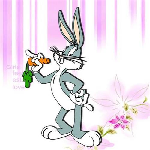 WDCMϴͼƬ