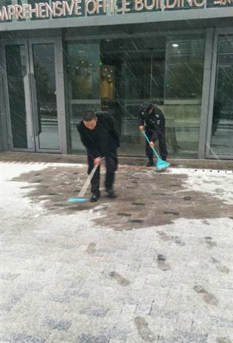 WDCM上传图片 WDCM上传图片