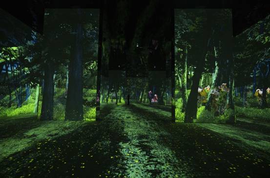 ˵: E:\2024깤/չ/Ӱ/111ýӴ/þýزİ1102/þ/ͼƬ/Forest-min.jpg