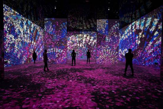 ˵: E:\2024깤/չ/Ӱ/111ýӴ/þýزİ1102/þ/ͼƬ/1.jpg